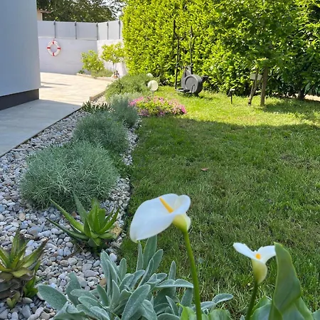 Vila House Gabi Istria *